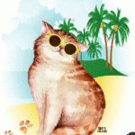 gatinho praiano