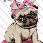 pug