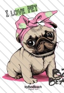 pug